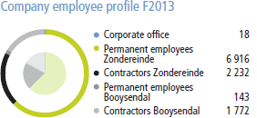 Company employee profile f2013 [chart]