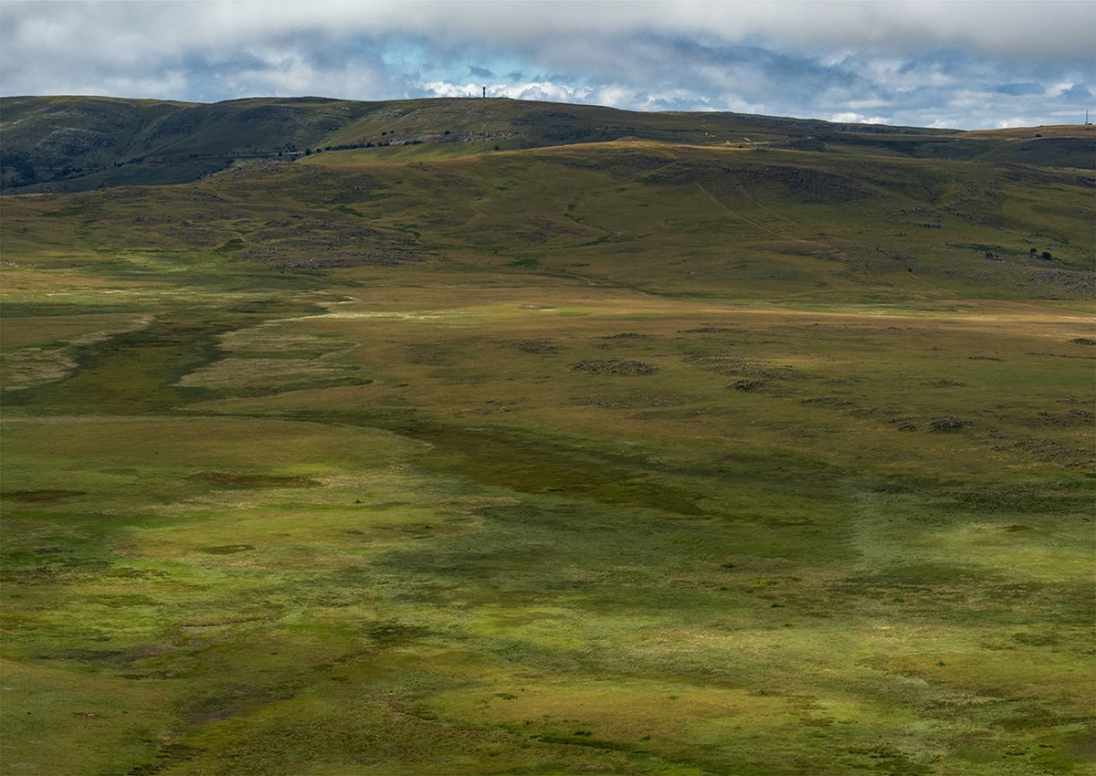 Taskforce nature image [photo]