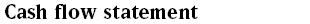 Cash flow statement