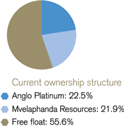 Current ownership structure [pie chart]