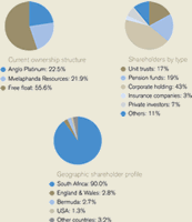 View Shareholder analysis