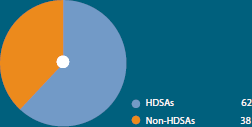 HDSAs at board level (%)
