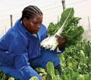 Northam in the community